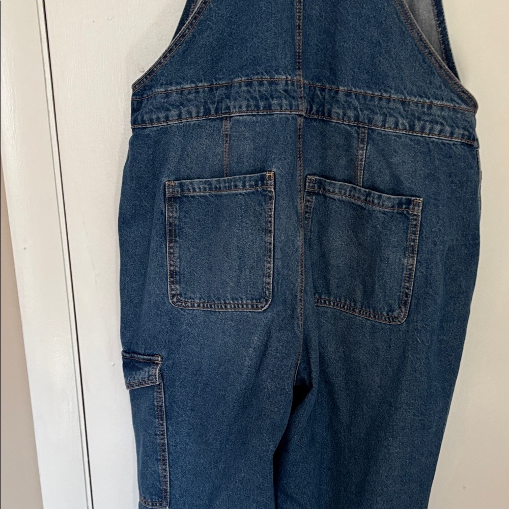 Celebrity Pink Light Blue Denim Overalls - Picture 6 of 7